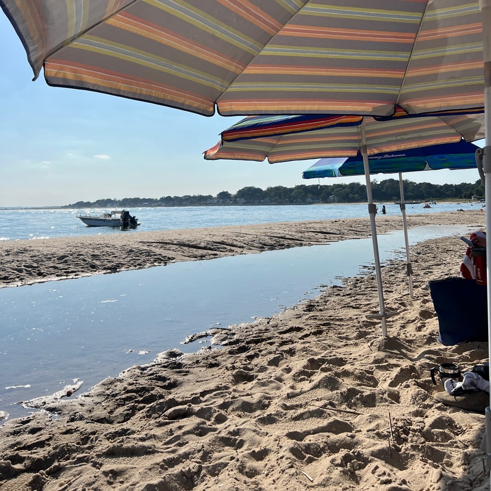 Meet your Posher, Minnie